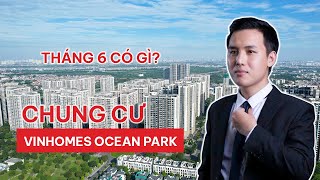 [FLYCAM] Toàn cảnh chung cư Vinhomes Ocean Park tháng 6/2025