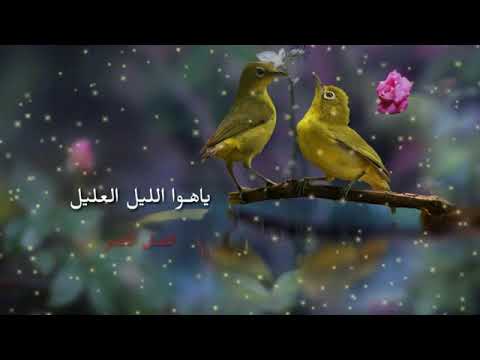 عادل خضور يا هوا الليل العليل
