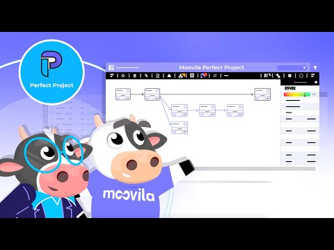 Mooove to Moovila Perfect Project! - video from Moovila
