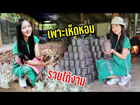 บุกฟาร์มเห็ดหอมดูขั้นตอนการเพาะกว่าจะได้ผลผลิตไม่ง่ายรังสรรค์ความอร่อยจากเห็ดๆ #วิถีฤดูฝน111