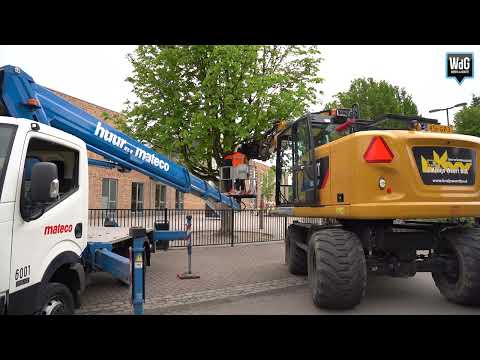 Stormschade in het Weerterland