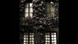 Nada Surf - 80 Windows