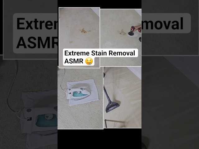 Multi-Step Carpet Restoration: Defeating a Mystery Stain 🧼