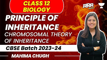 Chromosomal Theory of Inheritance | Principle of Inheritance and Variation | Class 12 | Mahima Chugh