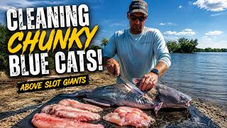 The Best Way To Clean Trophy-Eating Size Blue Catfish