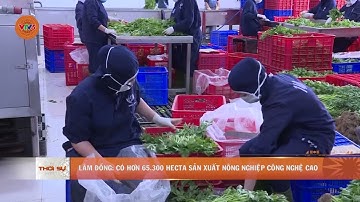 LÂM ĐỒNG: CÓ HƠN 65.300 HECTA SẢN XUẤT NÔNG NGHIỆP CÔNG NGHỆ CAO | VTV5