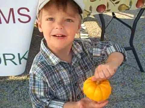 2008 Beverly Farmer's Market