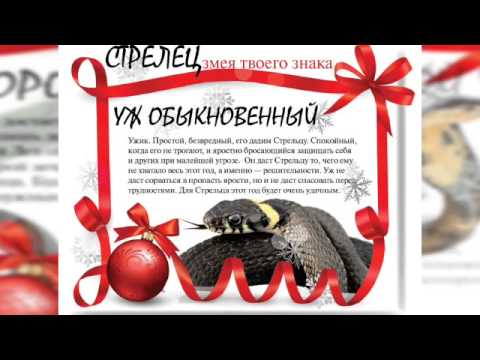 Знаки зодиака в год Змеи. Год 2013.