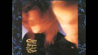 Video thumbnail of "The Choir - 15 - All Night Long - Chase The Kangaroo (1988)"