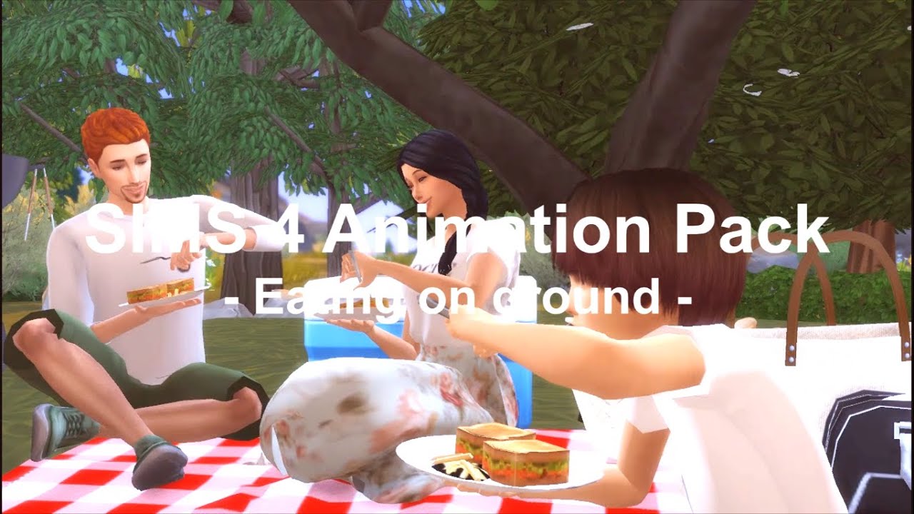 Sims 4 Picnic Poses