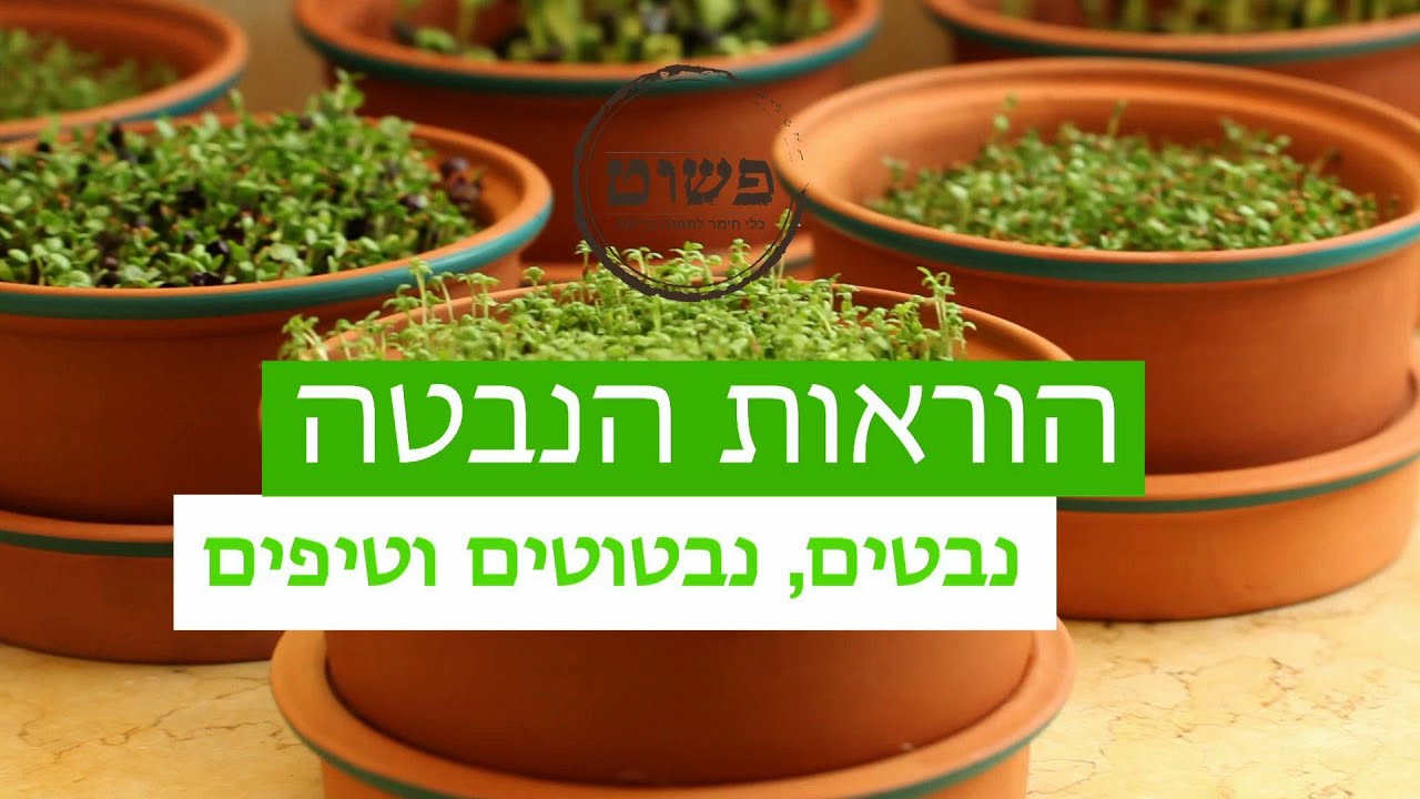 הוראות לגידול נבטים ונבטוטים במנבטת חימר של ״פשוט״.