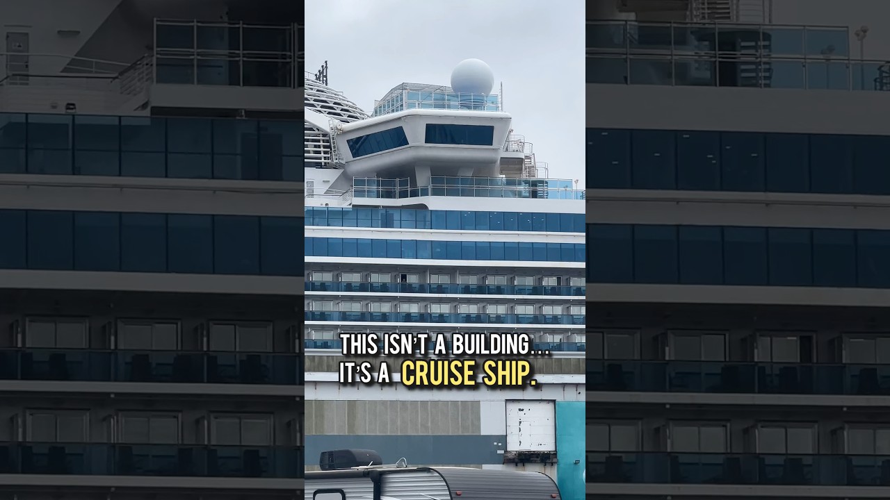 This isn’t a building it’s the massive Sapphire Princess docked in Halifax! 🚢 #Shorts