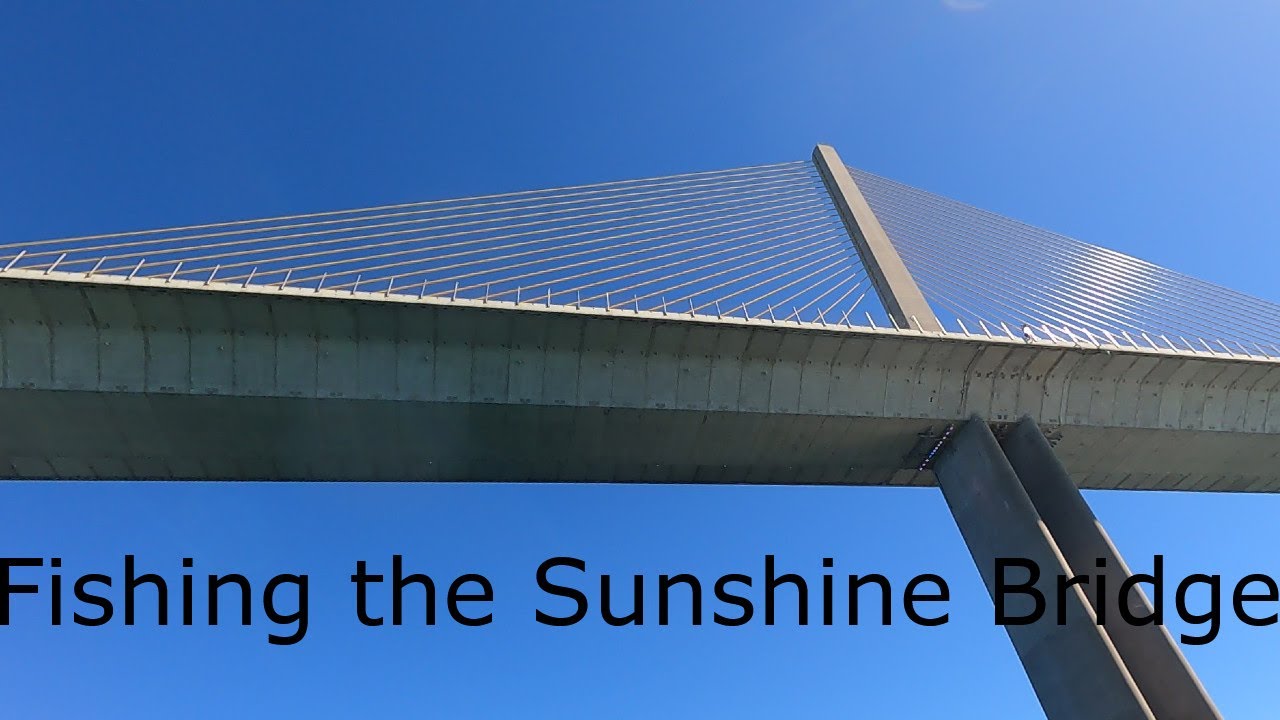 Planting seeds and catching Dolphins under the Skyway Bridge 