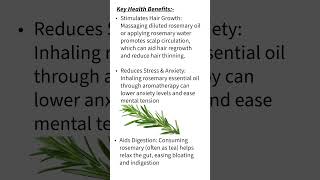 Benefits of Rosemary#shorts#hairhealth#digestion#healthylifestyle#reducestress#viral#trending#stress