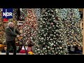 Weihnachtsbaum extrem - Händler, Sammler, Schwertransporte  | Die Nordreportage | NDR