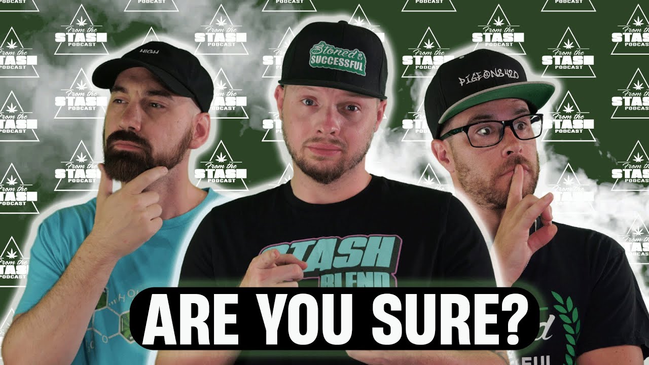 Что в ваших шишках? Генетика популярных сортов — подкаст FTS, выпуск 229