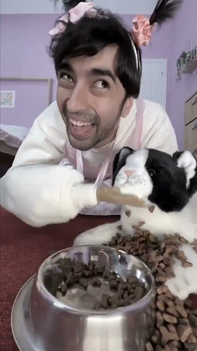 Oh No! Look All the Poop of My Cat 💩🐱