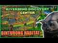 Realistic Binturong Habitat | Riverbend Discovery Center