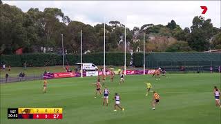 Ben Brown incredible mark (VFL)