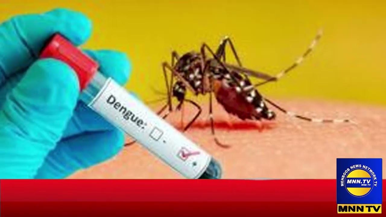 Dengue cases increase across Punjab, including Lahore