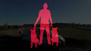 Dogmaniak Cours Collectif - 291125