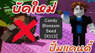 บัคใหม่โกงกว่ากระรอก รีบทำก่อนโดนแก้ ปั้มได้ทุกต้น Roblox Grow a Garden