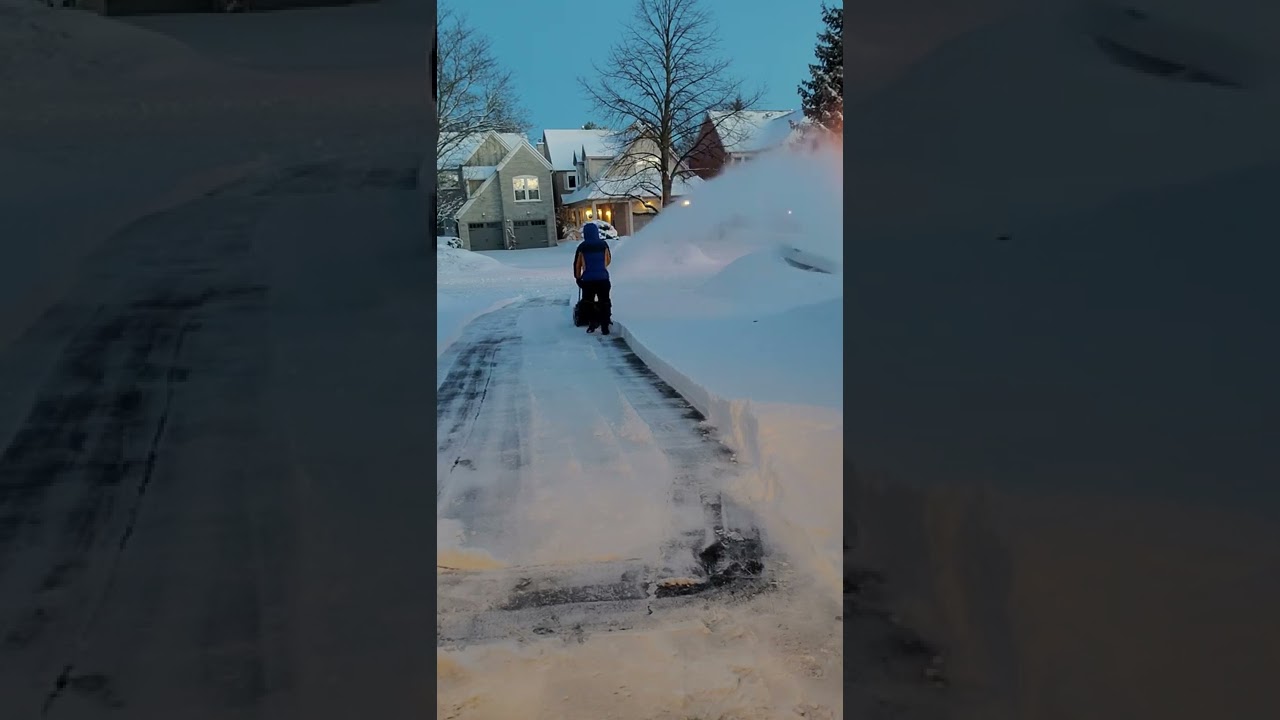 Snow Joe iON 100V-21SB # Shorts