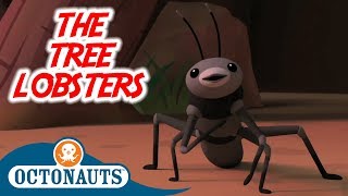 Octonauts - Tree Lobsters | Full Episode | Cartoons for Kids
