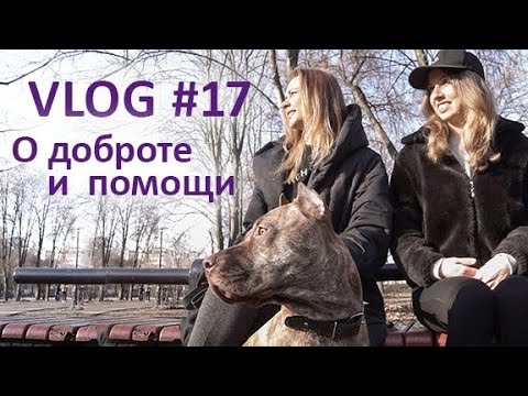 Vlog #17 Что надеть на прогулку с собакой / Приют для животных