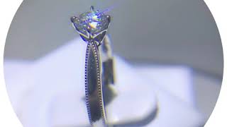 0.5CT w187