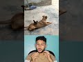 شوفو تعامل ابملب مع الفلالس اكسبلور