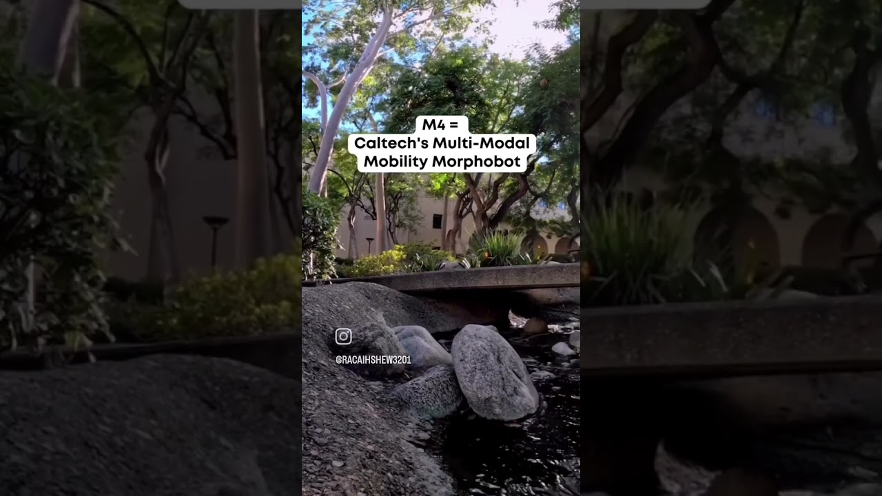 Boom Boom Robo da💥🌝 