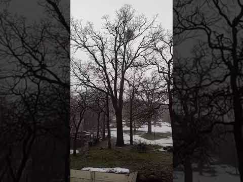 California Tornado Watch, Thunder, Lightning, Hailstorm and Flooding Extreme Weather Event