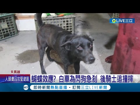 傳說中的"蝴蝶效應"? 白車為閃狗急剎 後騎士追撞摔 轎車閃狗機車追撞! 警初判"未保持安全距離"│記者 張哲儒 朱怡蓉│【LIVE大現場】20220312│三立新聞台