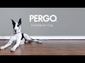 How to Install Pergo Laminate Uniclic Flooring