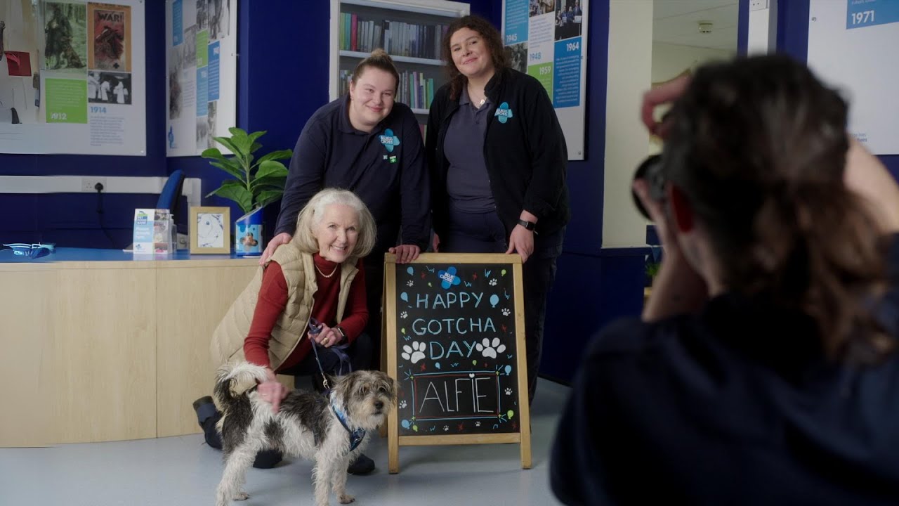 Pet love stories | Blue Cross