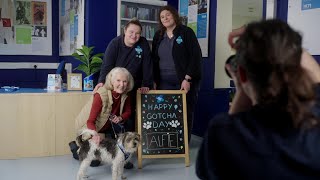 Pet love stories | Blue Cross by Blue Cross UK 2,195 views 1 month ago 1 minute, 1 second