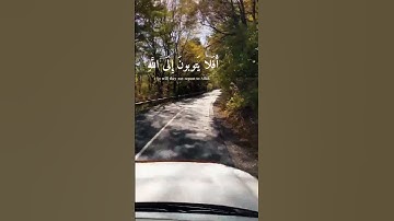 "📖 تلاوة خاشعة تهز القلوب | أفلا يتوبون إلى الله؟ 🤍" #القرآن_الكريم #تلاوة_خاشعة #اسلاميات