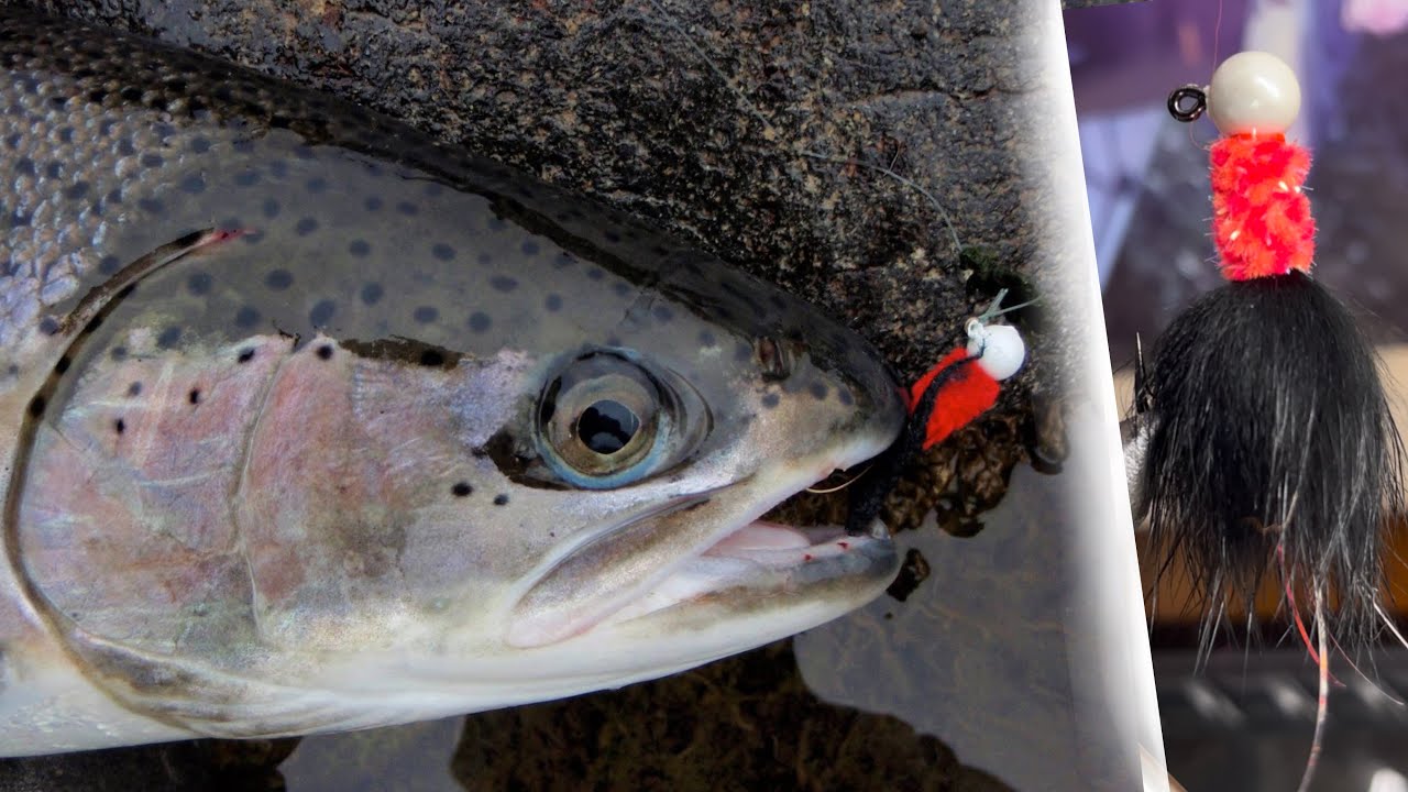 MOST POPULAR Jig For Steelhead!  Let’s Tie it!
