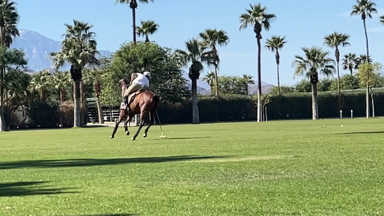 Practice chukker - Joaquim