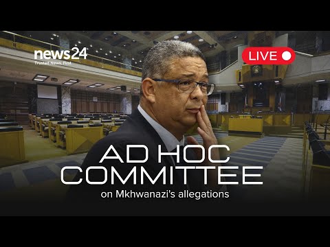 WATCH LIVE Robert McBride Continues His Evidence Before The Ad Hoc Committee 