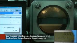 SAMSON - Leakage detection