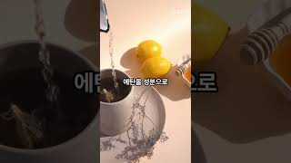 광고 아이가 놀이터 다녀온 뒤 제일 먼저 한 일은 Best Pick Guide