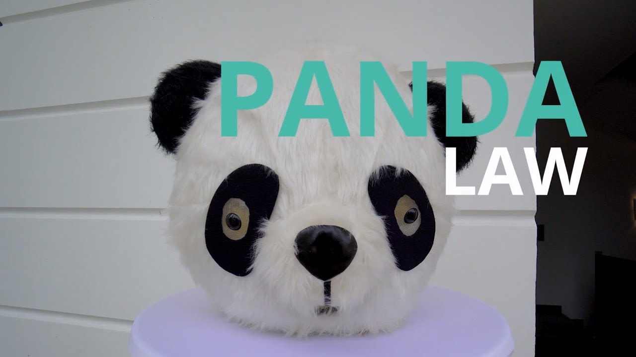 PANDA Law 2017 YouTube