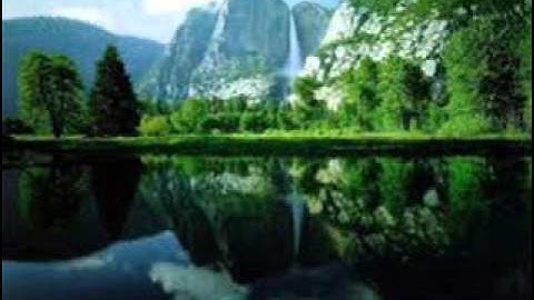 ت75 سورة القيامة للقارئ داود محداب من صلاة التراويح