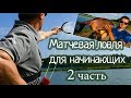 Матчевая ловля для начинающих_2 часть_Техника ловли на матч