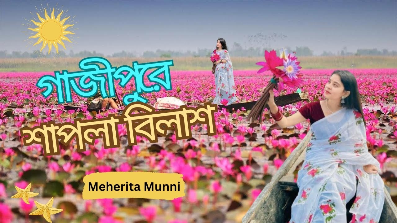 গাজীপুরের শাপলা বিল প্রকৃতির অপূর্ব রূপ 🌸 Lal Shapla Bill Gazipur | Water Lily Flower Garden Satla