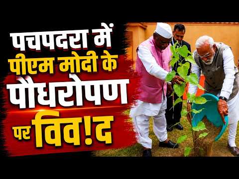 पीपल या खेजड़ी'... पचपदरा में पीएम मोदी के पौधरोपण पर विव!द