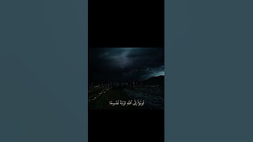 تلاوة خاشعة تريح القلب 🤍🤍🤍 #قرآن #اكسبلور #المصحف #لايك #راحة_نفسية #explorepage