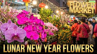 The Energy Shift: Hong Kongs Flower Market at Evening Rush Hour During CNY